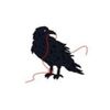 Go to the profile of  blackbirdknitting